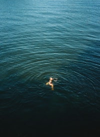 a person swimming in a body of water