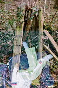 an image of a child laying in the woods