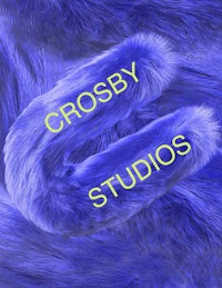 the cover art for crosby studios